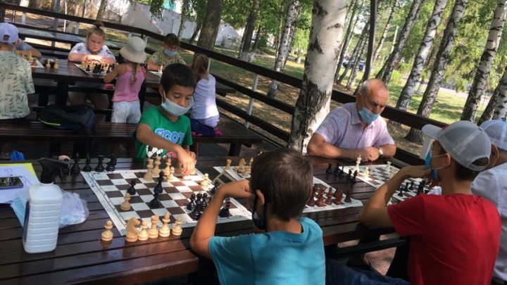 В Центральном парке Тетюш прошел районный турнир по шахматам