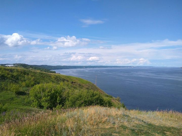 Ракам не стоит ввязываться в авантюру, а Водолеям нужно сдержать обещание