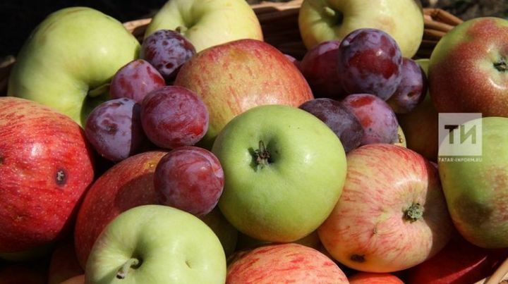 Советуем приготовить: Варенье из черной смородины, вишни и яблок