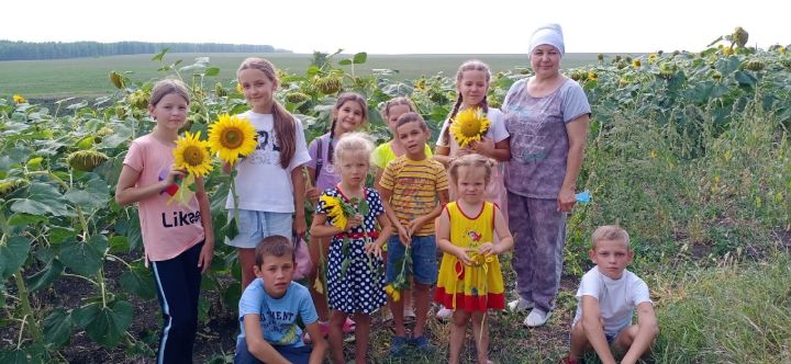 Большеатрясские дети совершили экскурсию на поле с подсолнухами