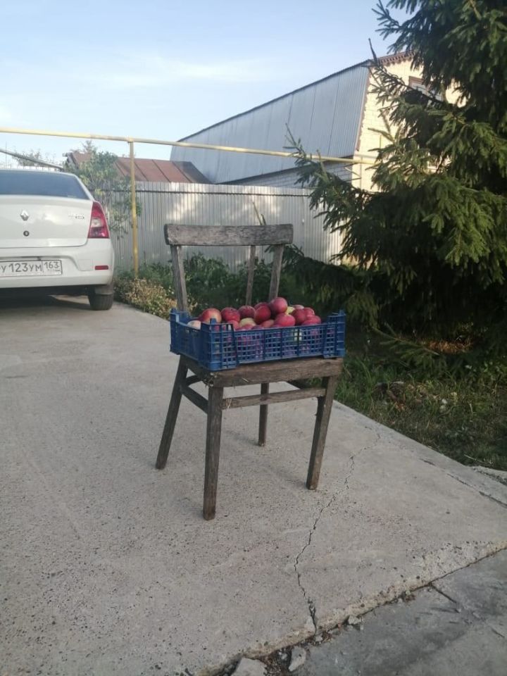 В Тетюшах на улице Малкина просто так раздают яблоки прохожим