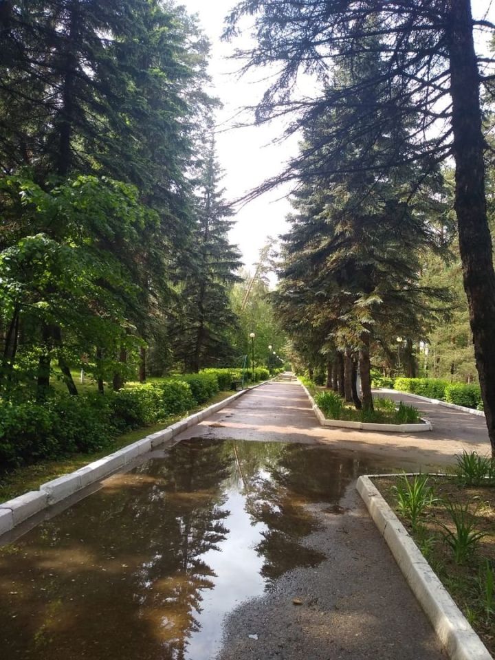 Прогноз погоды по Тетюшскому муниципальному району на 29 августа 2021 года