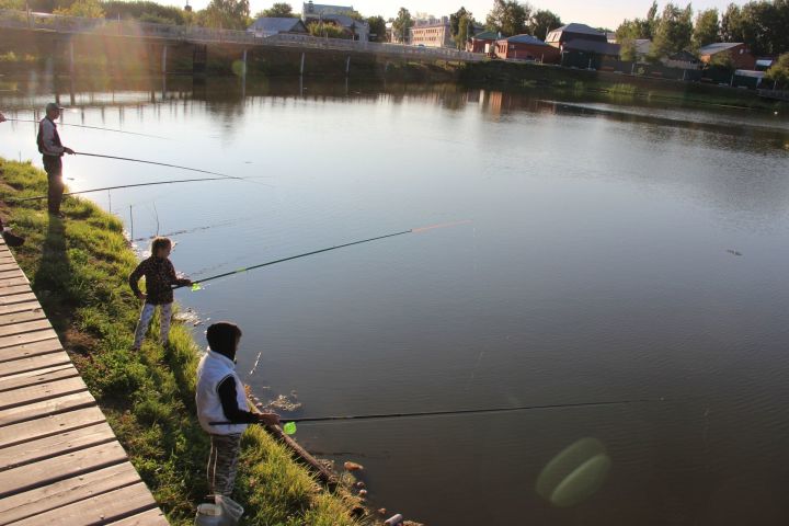 В Тетюшах прошли соревнования по рыбной ловле