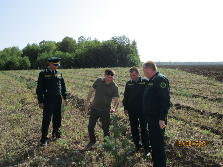 Предприятие лесной отрасли Тетюшского района входит  в пятерку лидеров Татарстана