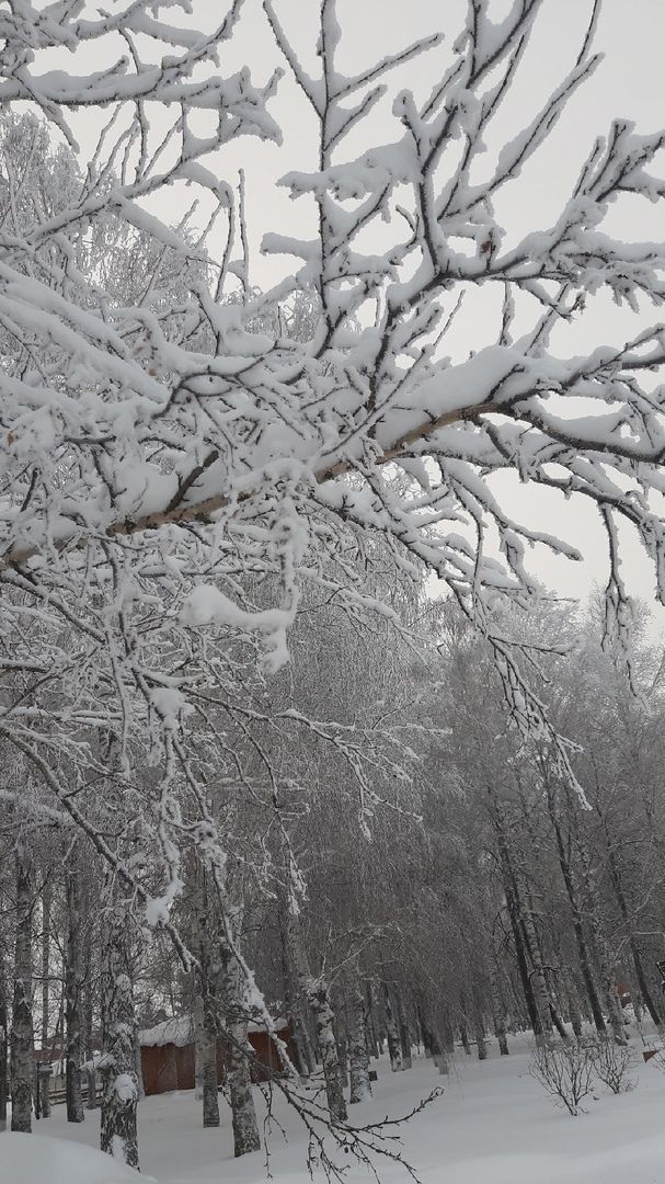 На территории Татарстана ожидается сильный снег