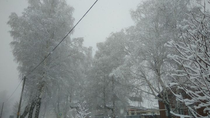 Гидрометцентр РТ: в Татарстане ожидается снег и метели