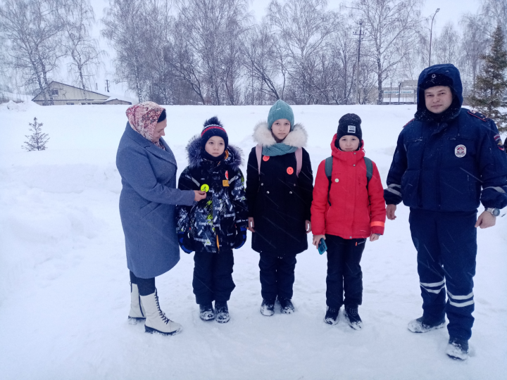 В школах Тетюшского района провели мониториг ношения световозвращающих элементов