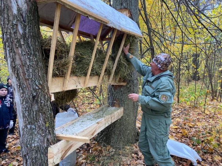 Установили кормушки для зайцев и лосей