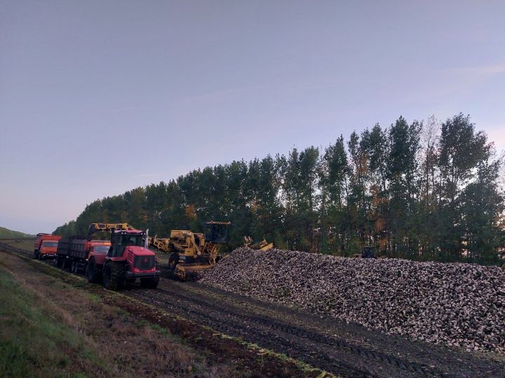 В Тетюшском районе завершается осенний комплекс полевых работ