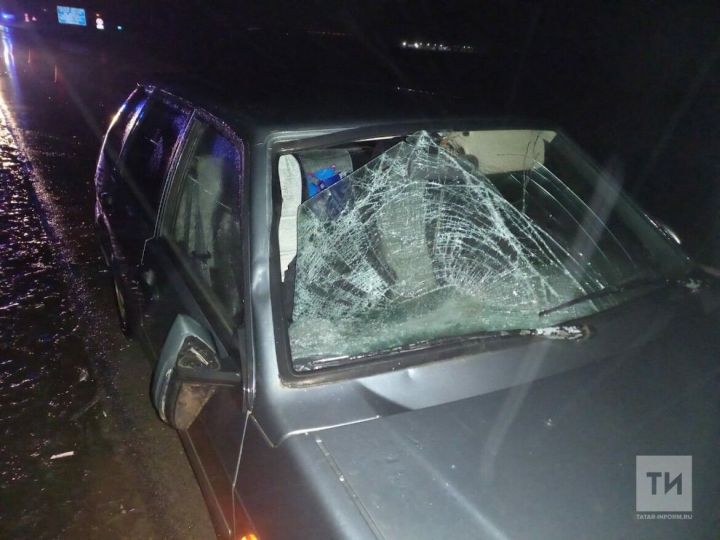 В Татарстане под колеса авто попал мужчина, который шел по трассе