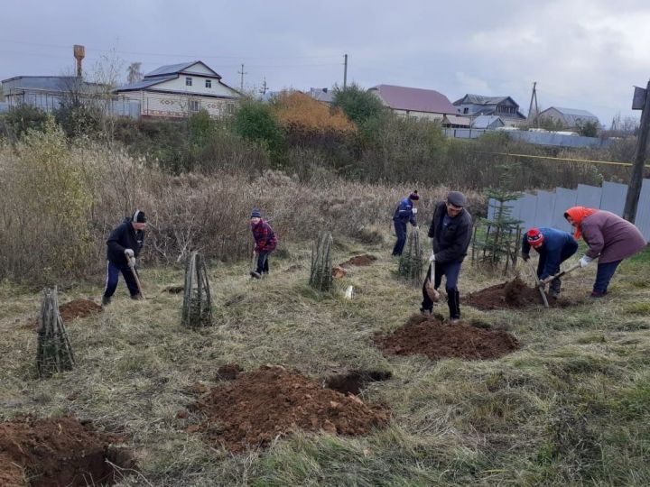 На улице Гончарова в Тетюшах появилась пихтовая аллея в честь героев-земляков