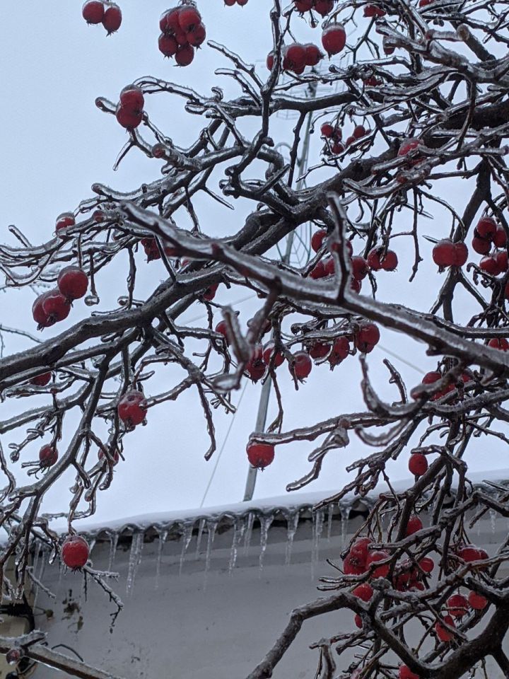 Метеоролог из КФУ предупредил об обильных снегопадах и возможном ледяном дожде