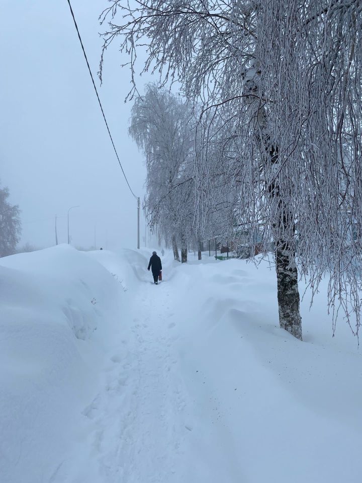 Погода в Тетюшах 6 февраля