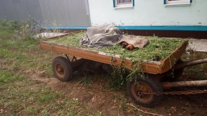 В Саввин день, 29 марта, в старину день посвящали телеге