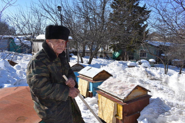 Со временем количество пчелосемей Григорий Приказчиков увеличил до 60