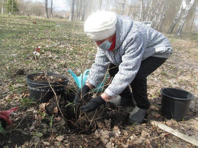 Жители улицы Вахитова города Тетюши посадили саженцы деревьев