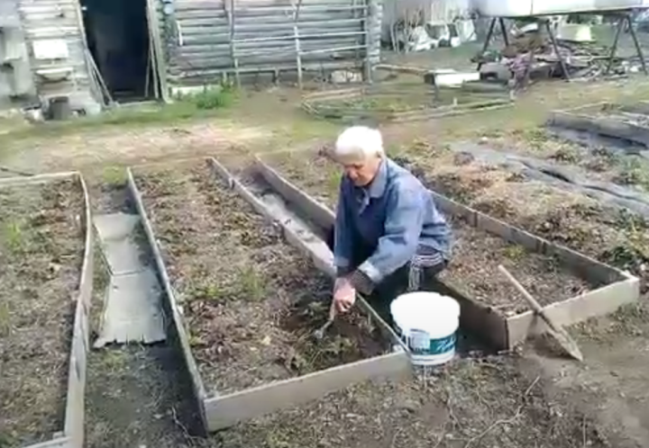 Тетюшане занимаются работой на огороде