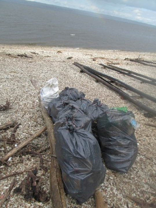 Тетюшане вышли на уборку мусора береговой зоны в районе лодочной станции реки Волги