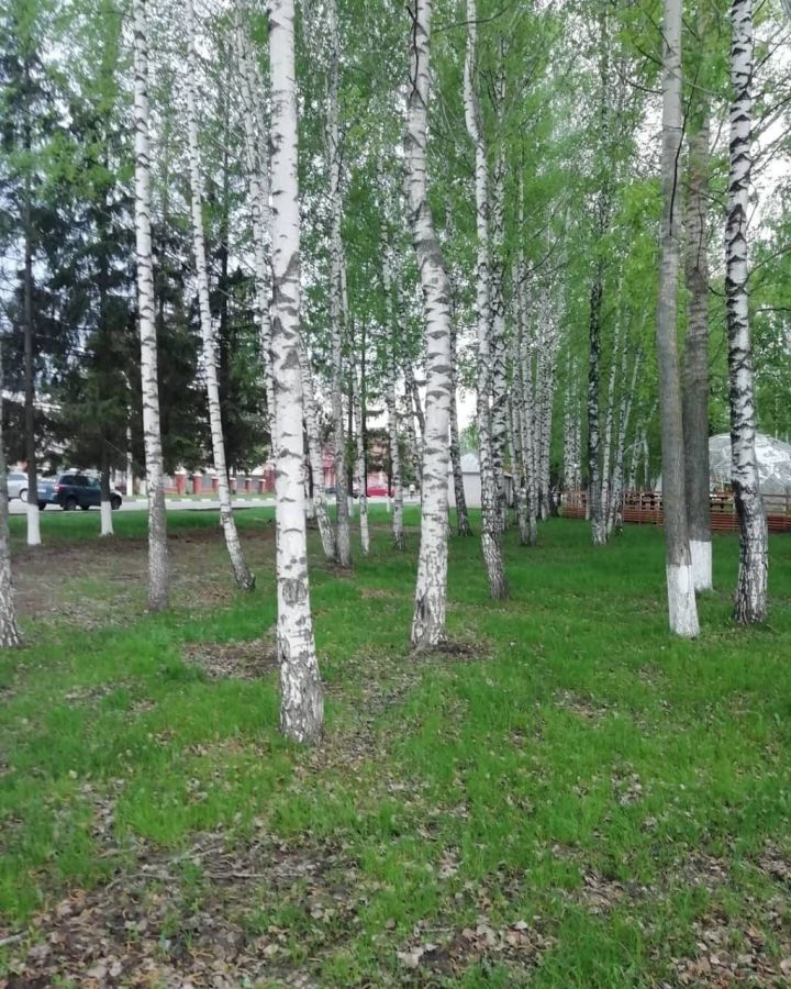 На территории Татарстана местами ожидаются заморозки на почве до -1˚