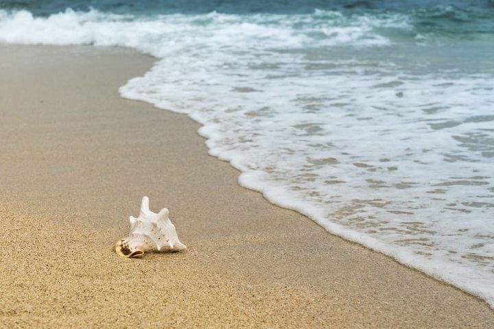 Пляж Зеленодольска будет доступен для отдыха маломобильных туристов