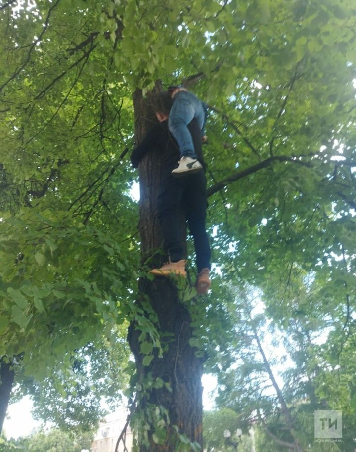 В Татарстане помощь потребовалась женщине, которая повисла на дереве из-за кота