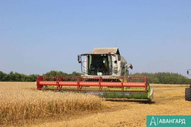 Минниханов поручил сельхозработникам качественно и оперативно провести уборку урожая