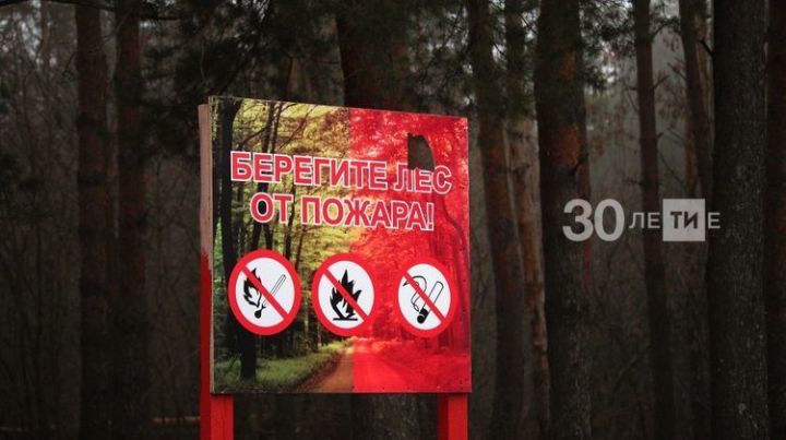 В Тетюшском районе объявлена чрезвычайная пожарная опасность лесов (5 класс)