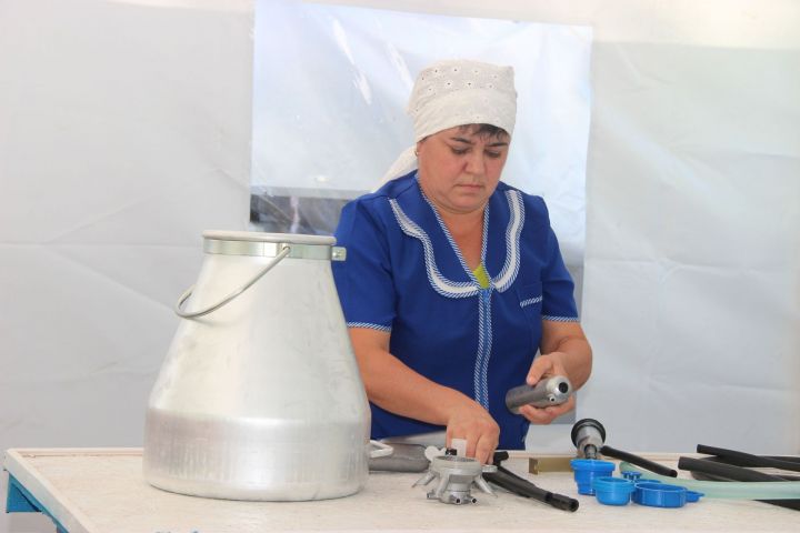 В Тетюшском районе проходит республиканский конкурс операторов машинного доения коров