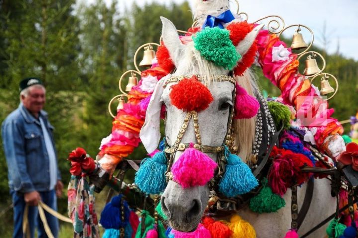 «День Коня» в Татарстане ждет гостей
