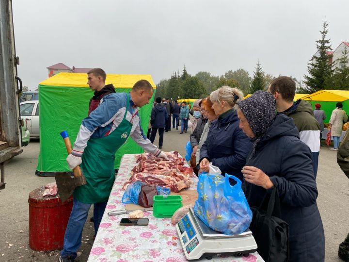 В Тетюшах прошла первая в этом году осенняя сельскохозяйственная ярмарка