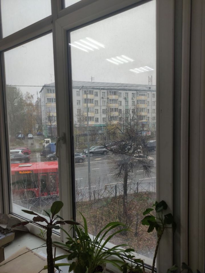 Синоптики предупреждают жителей Татарстана о сильном юго-западном ветре