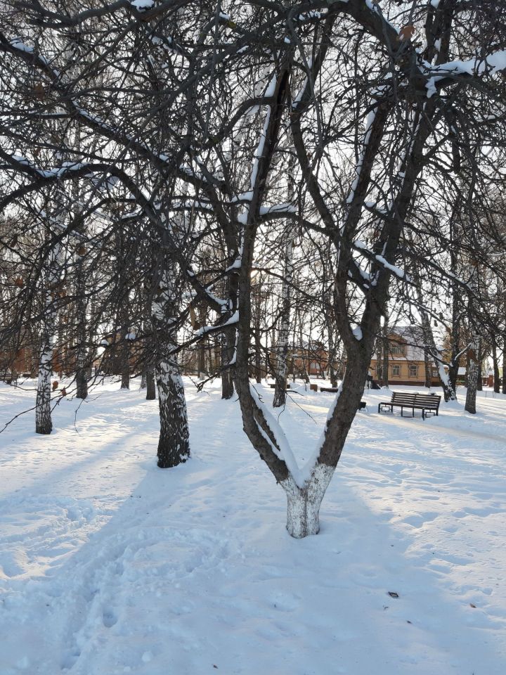 Прогноз погоды на 17 января 2023 года в Тетюшах