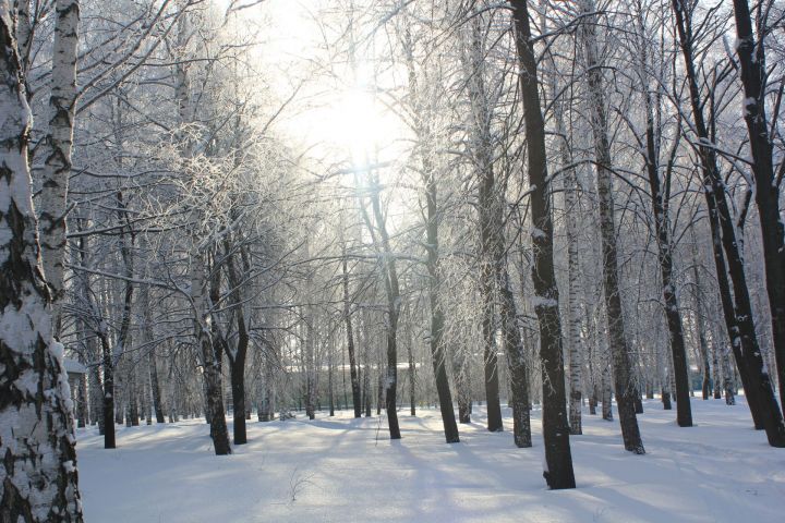За новогодние праздники 126 жителей РТ пострадали от переохлаждения и обморожений