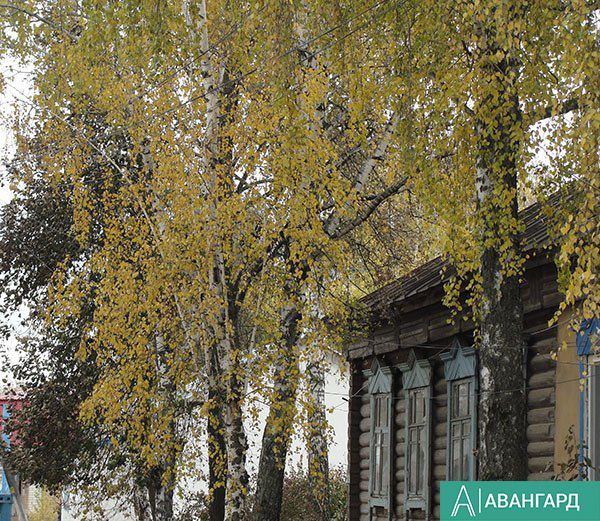 Синоптики предупредили жителей РТ о сильном ветре и дожде