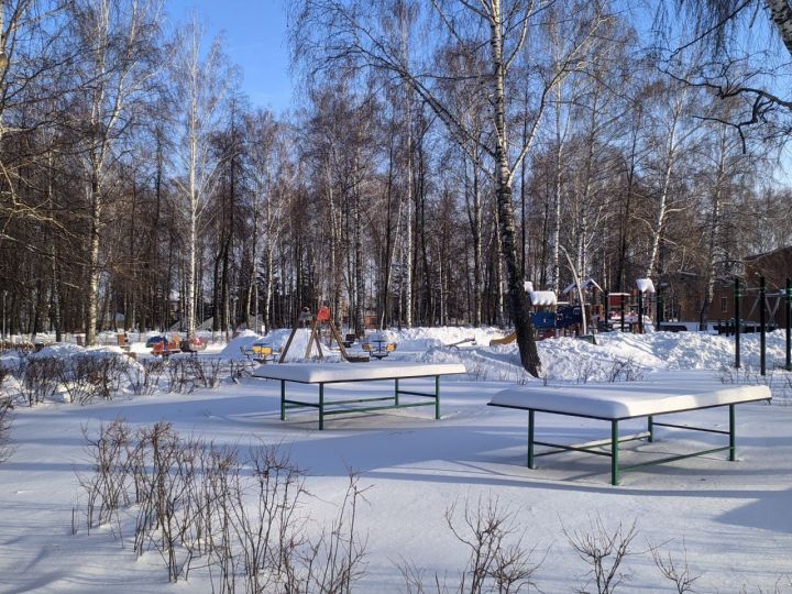 О погоде в Тетюшах 29 декабря 2023 года