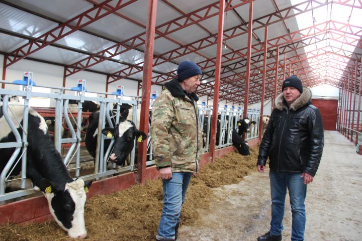 В Тетюшском районе ежегодно вводятся в строй новые сельхозобъекты