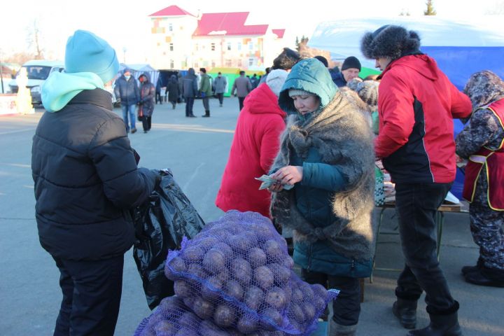 На площади перед РДК состоится сельскохозяйственная  ярмарка