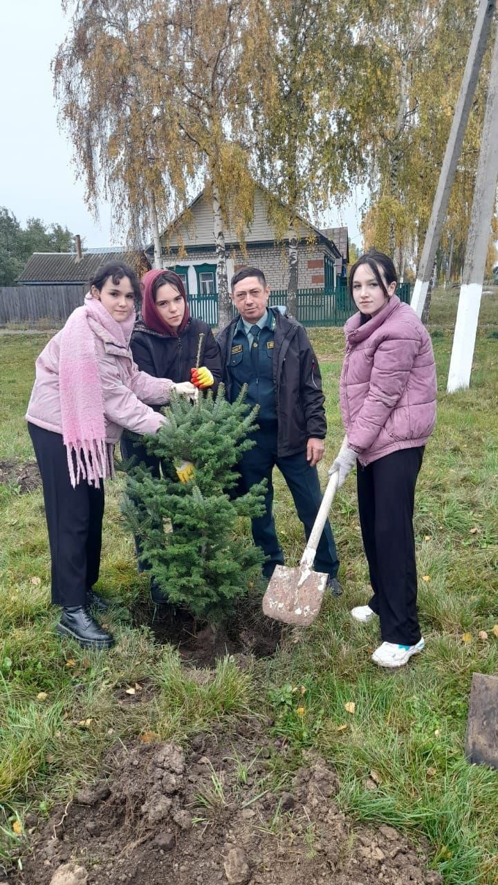 В Тетюшской татарской школе третий год действует школьное лесничество