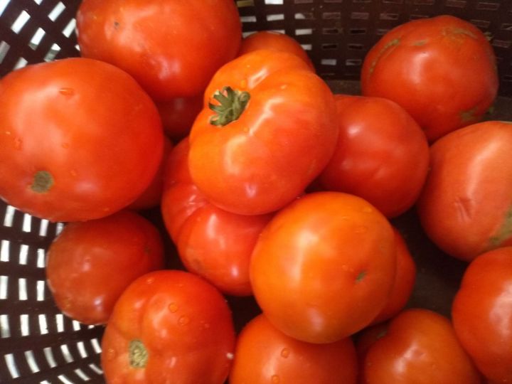 В Татарстане стали дешевле помидоры, подорожала капуста