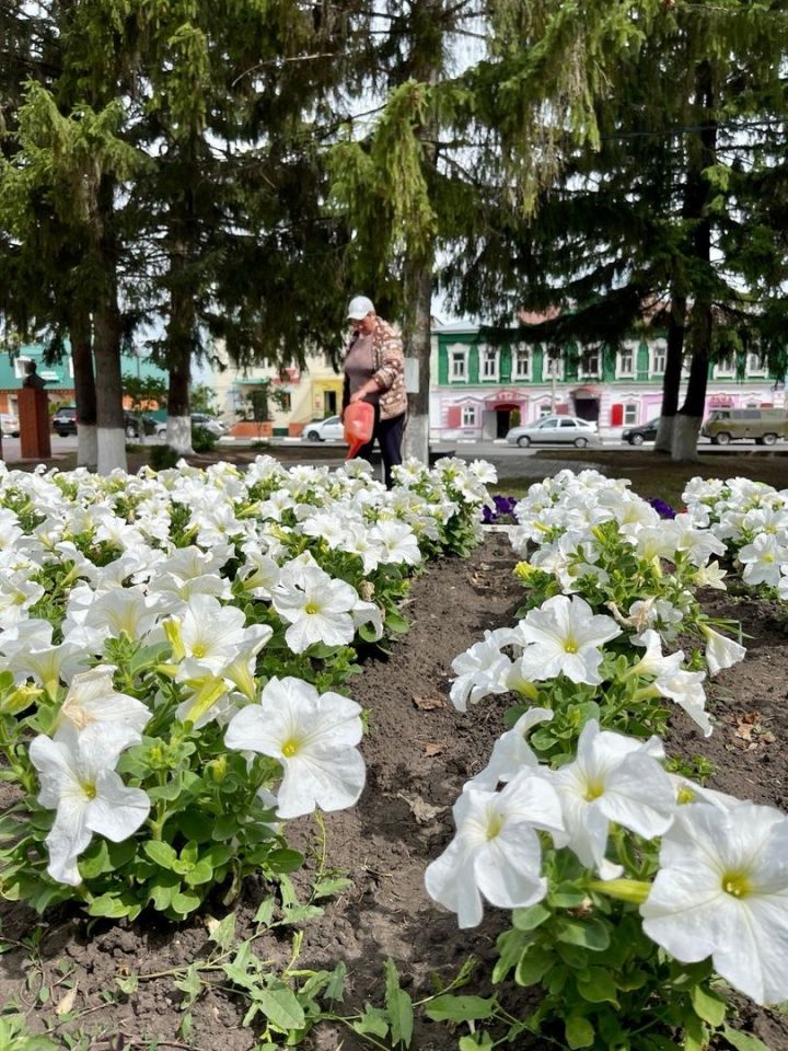 Наводят чистоту на улицах города