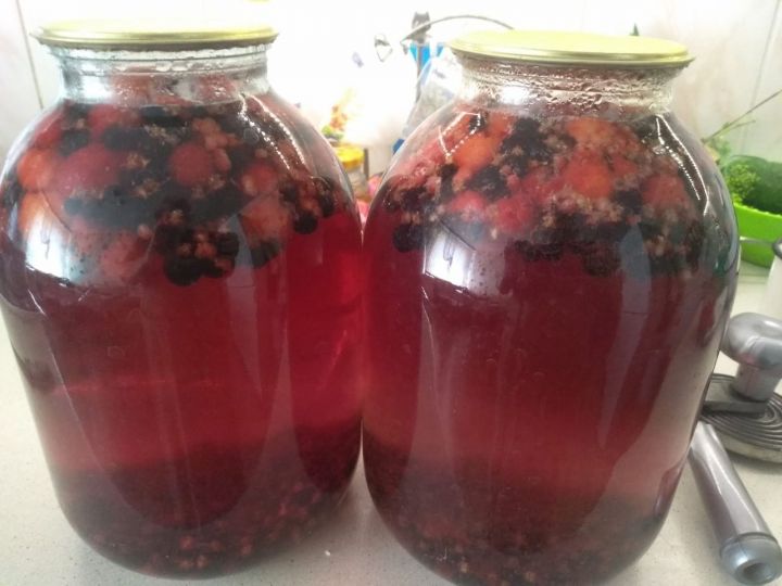 Рецепт от тетюшанки: Компот ягодный