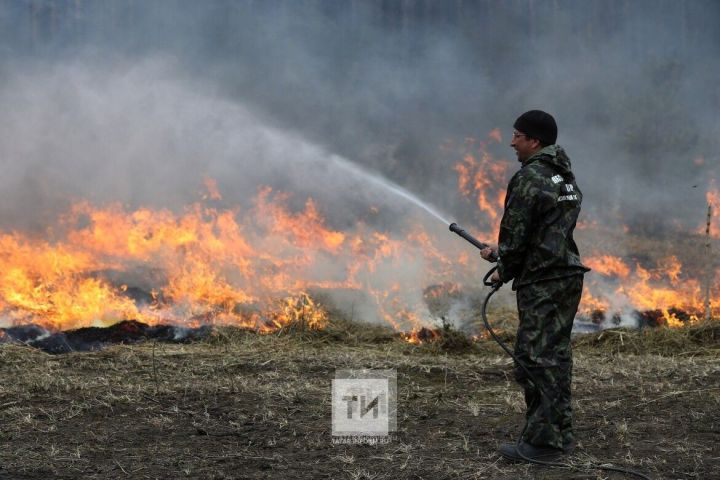 В Татарстане сохраняется  высокая (4 класс) пожарная опасность лесов