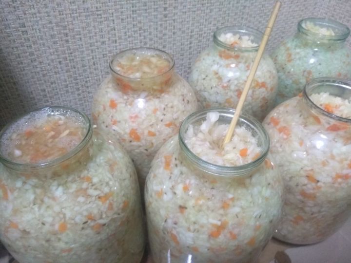 Кәбестә тозлау