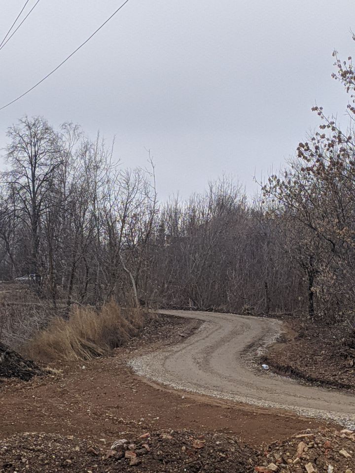 Погода в Тетюшах 13 октября: ночью похолодает до -7˚