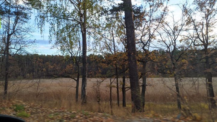 О погоде в Тетюшах 23 октября: днем воздух прогреется до +14˚