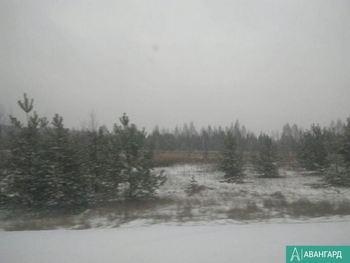 Погода в Тетюшах 25 ноября: возможны осадки  осадки в виде мокрого снега
