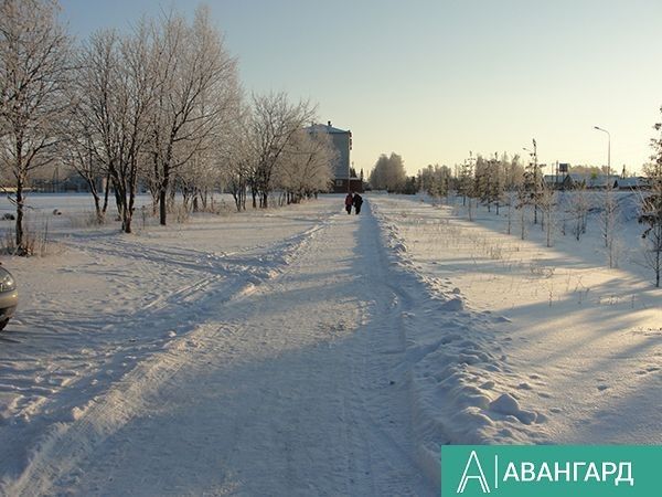 О погоде в Тетюшах 6 февраля 2024 года: на дорогах снежные заносы, гололедица