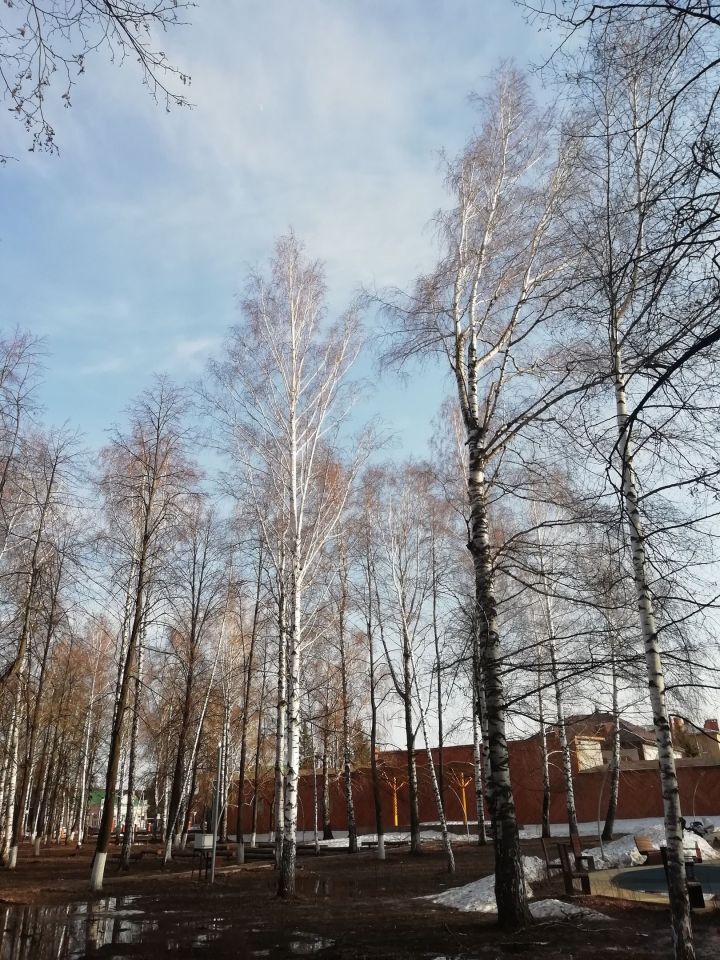 По-весеннему тепло: 1 апреля, в Тетюшском районе, днем ожидается до +11˚