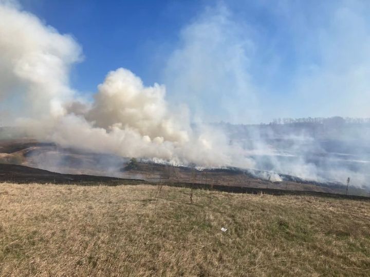 В лесах Татарстана начался пожароопасный сезон