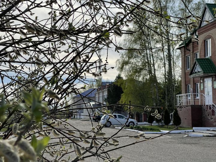 Прогноз погоды на 25 апреля 2024 года